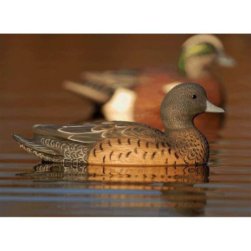 GHG Life Size Wigeon Duck Decoys 6 Pack